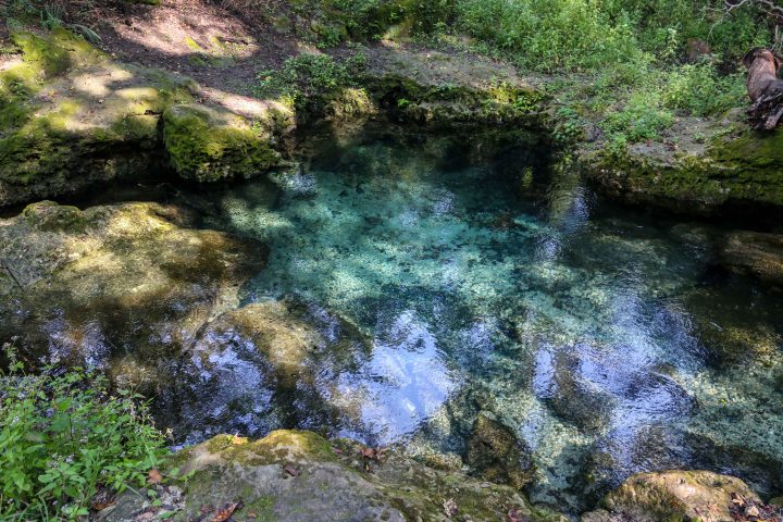 florida, spring, state park