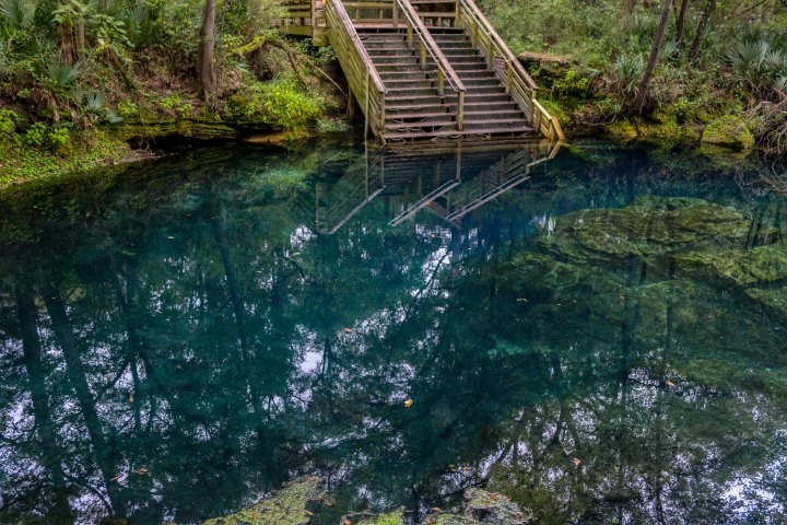 florida, springs, state park