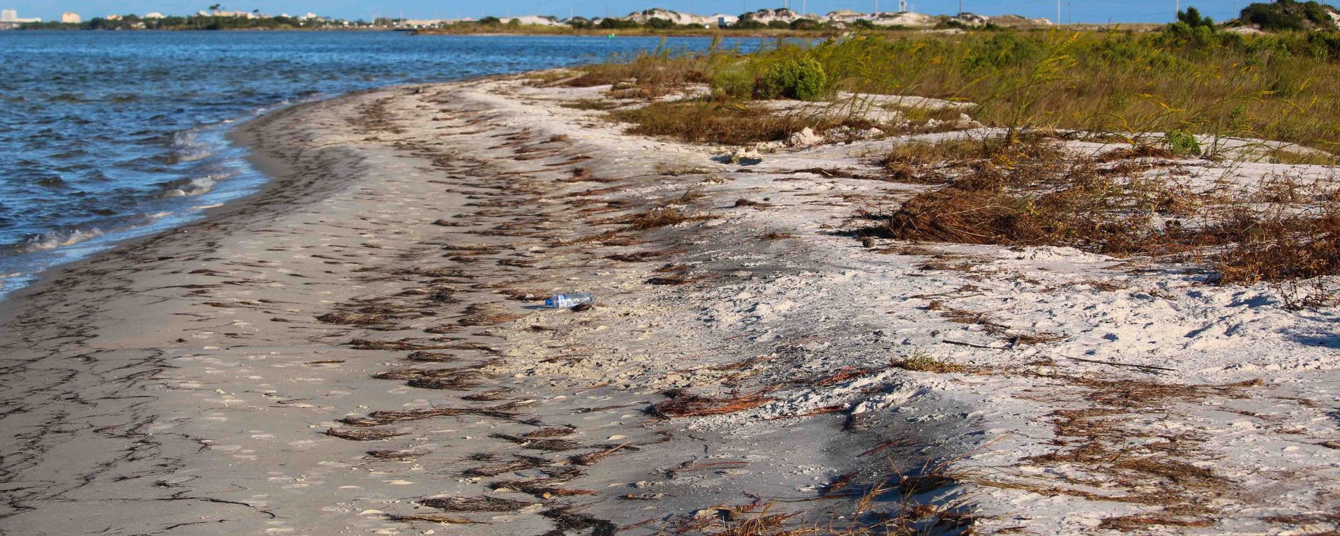 florida, coast, gulf, bay, travel, nature