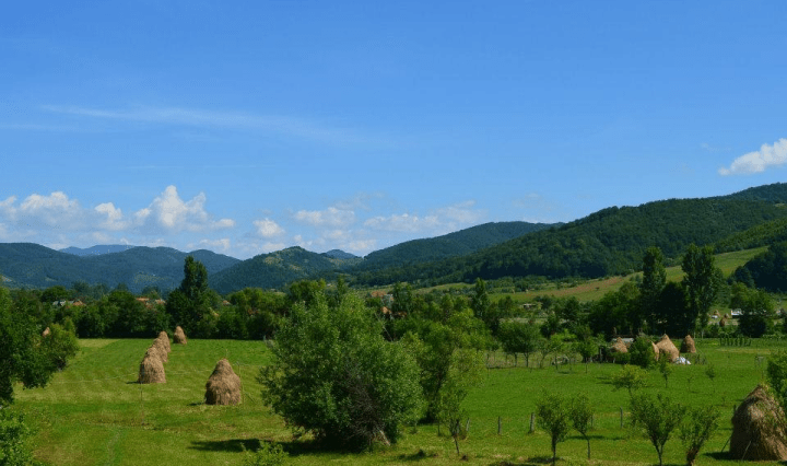 Romania, landscape, travel, explore, nature