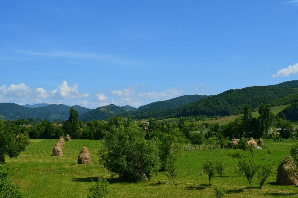Romania, landscape, travel, explore, nature
