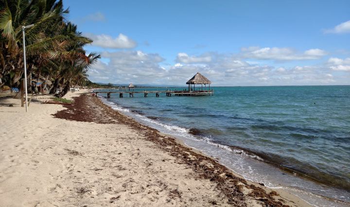 belize, hopkins, beach, travel