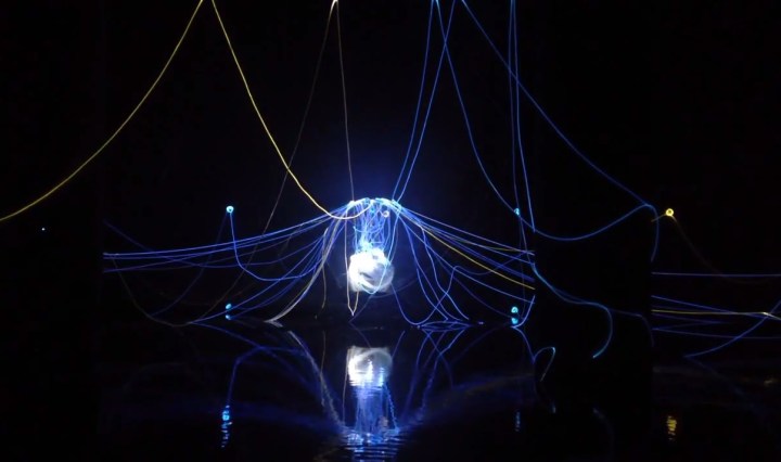 conservation, creek, texas, nature, light show