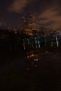 new york city, new york, rat, photography