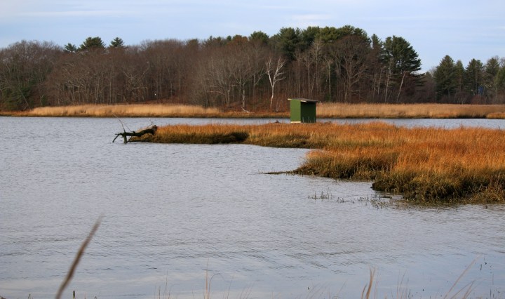 maine, optoutside, gilsland, audubon