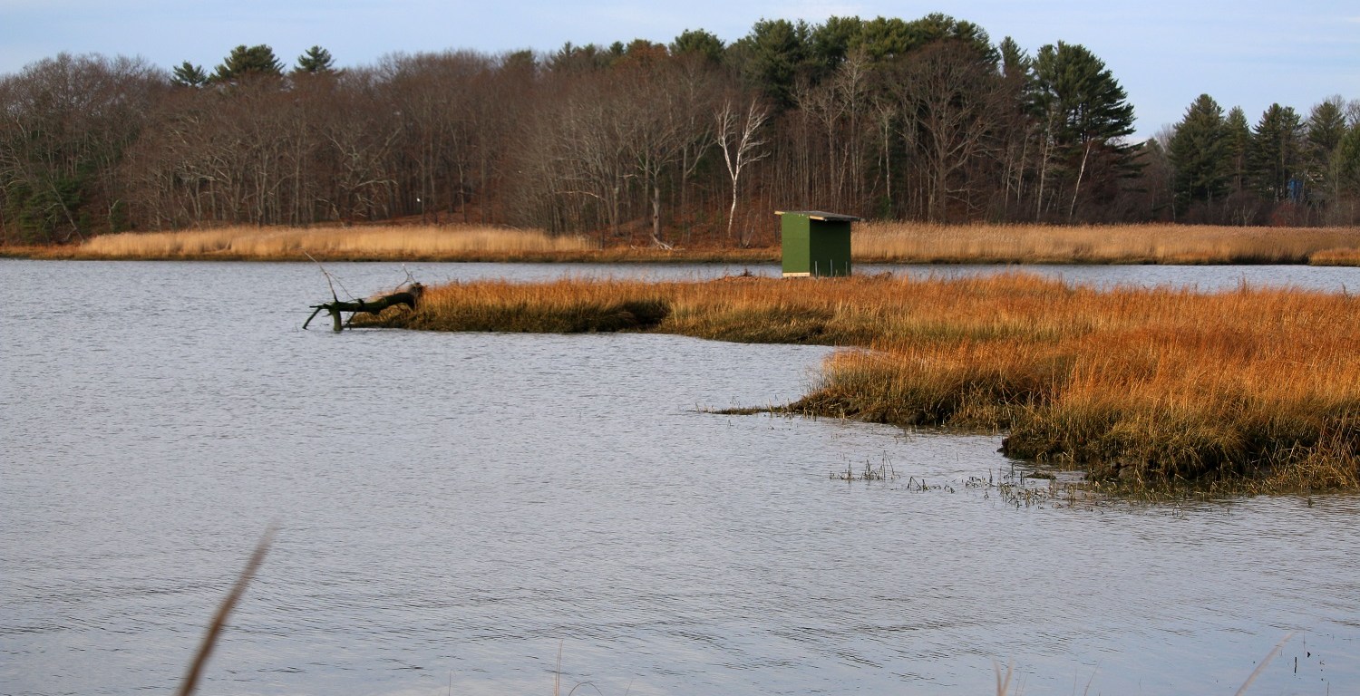 maine, optoutside, gilsland, audubon