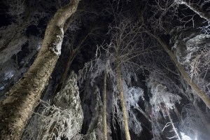 hubbard brook, ice storm, new hampshire