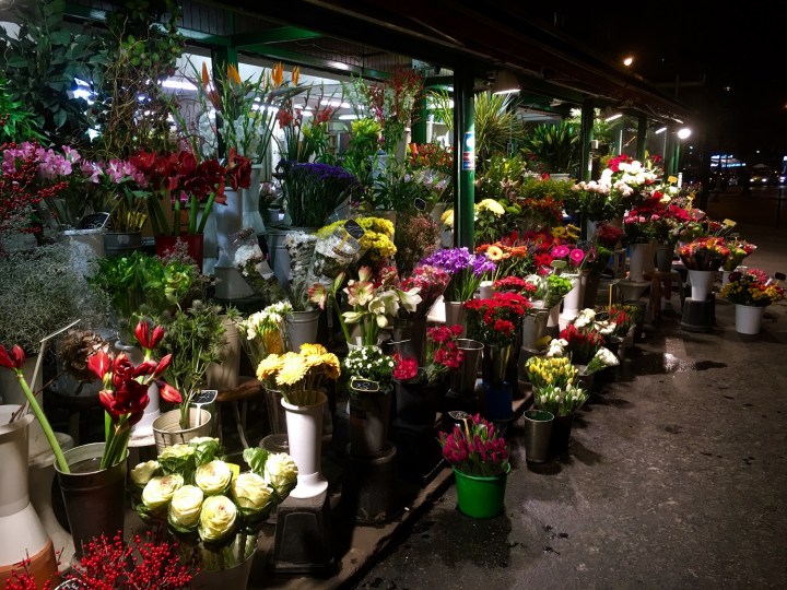 paris, flowers, travel, france