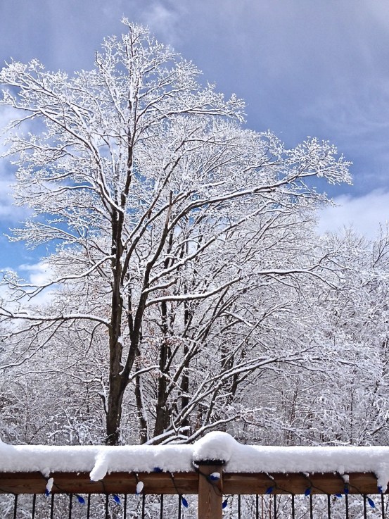 nature, ice, winter, canada