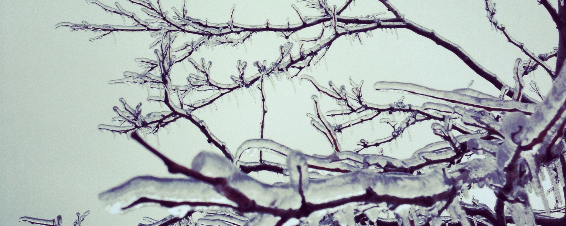 nature, ice, winter, canada