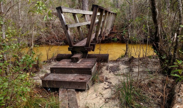 florida scenic trail, hiking, nature