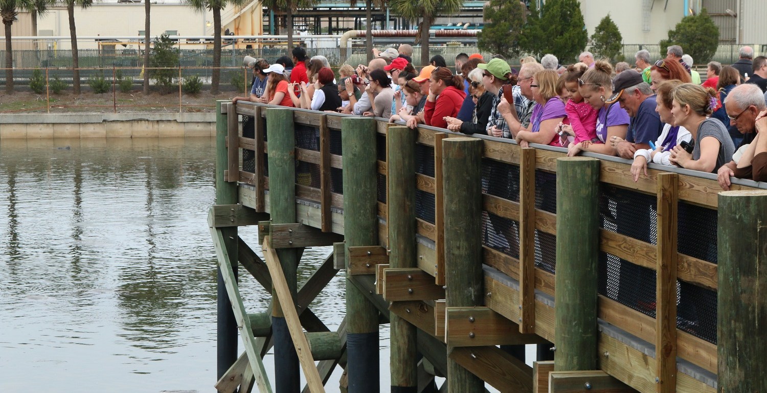 manatee, florida, tampa