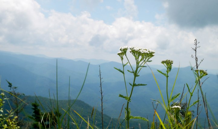 blue ridge parkway, north carolina, mountains