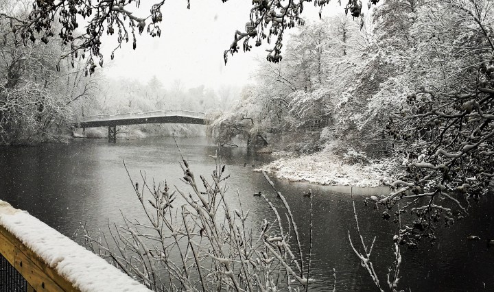 winter, bridge, blizzard