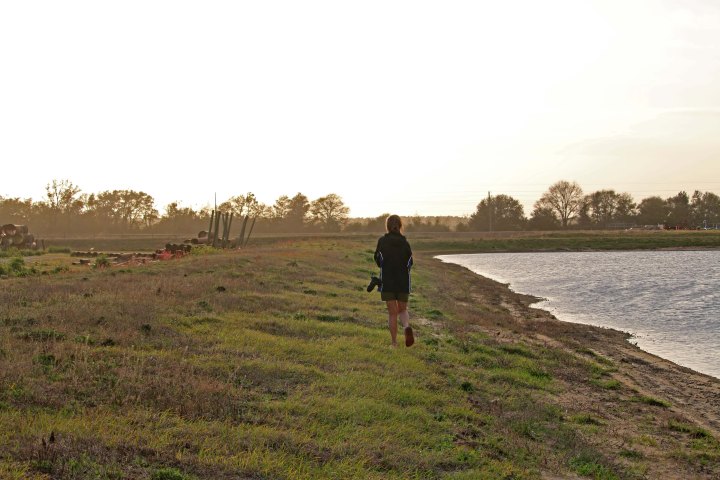 nature, birding, florida