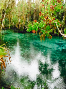 springs, florida, three sisters, nature
