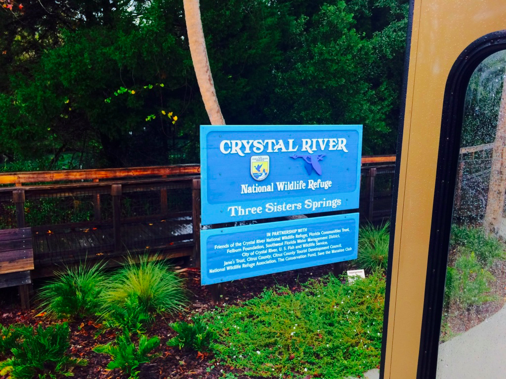 springs, florida, three sisters, nature