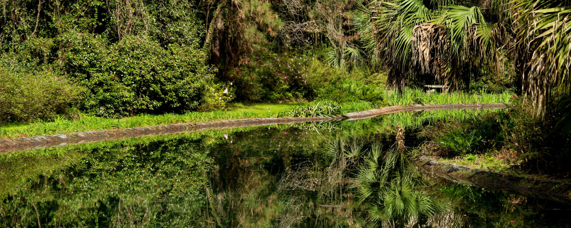 alfred maclay state parks, florida state park, florida, nature