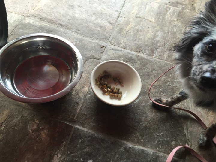 arizona, sedona, nature, travel