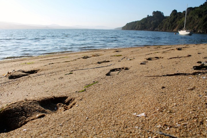 nature, california, point reyes, travel
