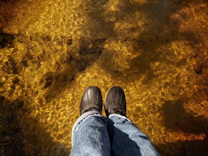 nature, hiking, eglin, air force, florida