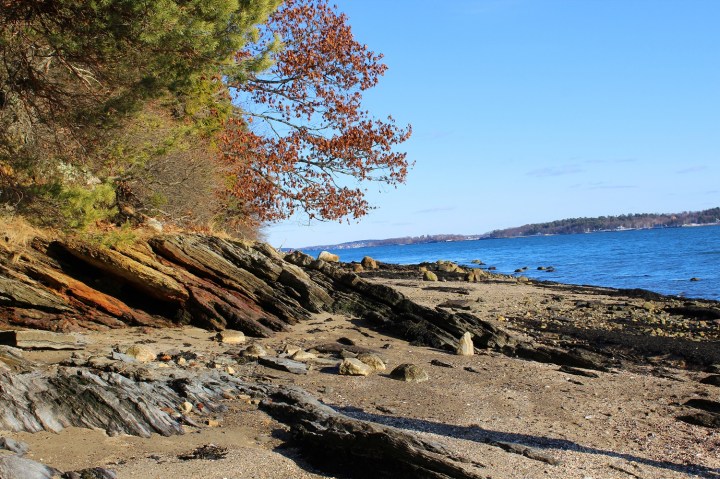 maine, nature, travel