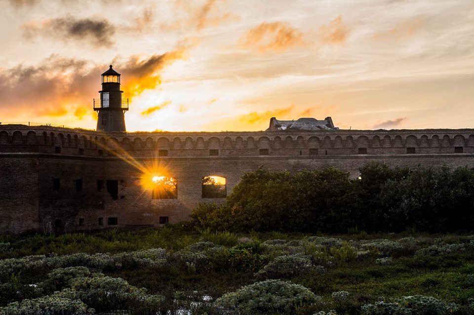 dry tortugas, nature, landscape, florida