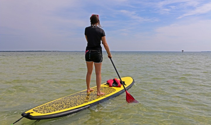 paddleboard, ecotourism, florida