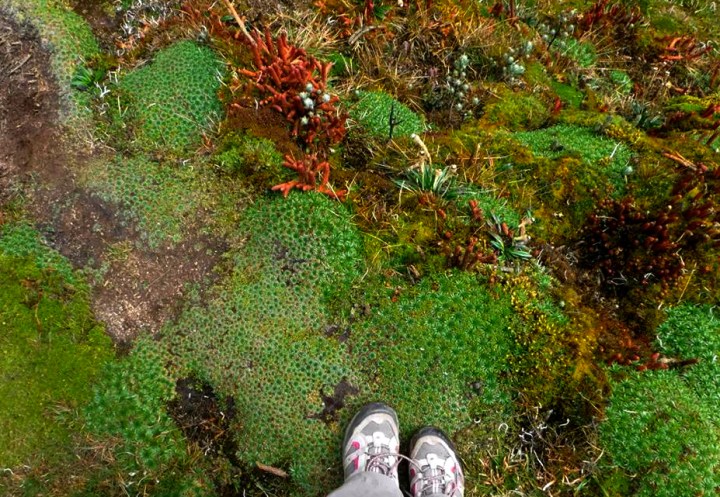 nature, highlands, ecuador