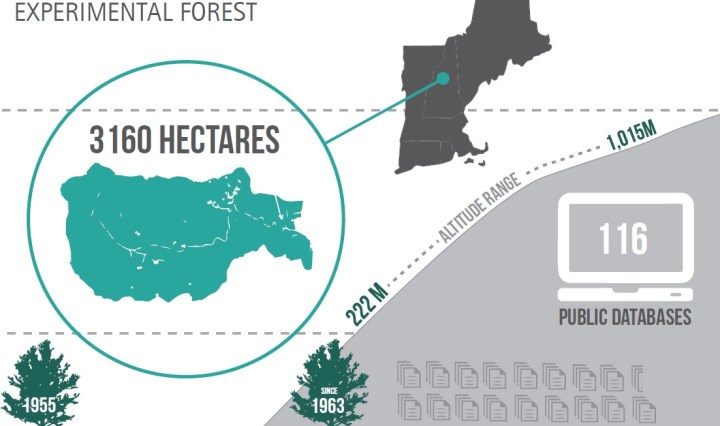 hubbard brook, LTER, research, science, infographic