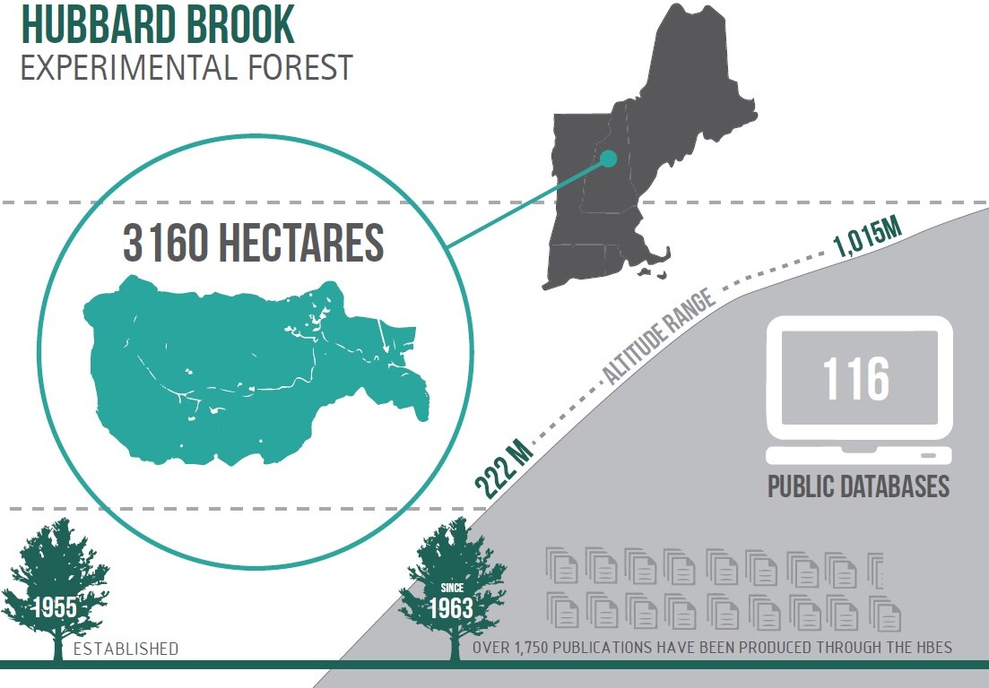 hubbard brook, LTER, research, science, infographic
