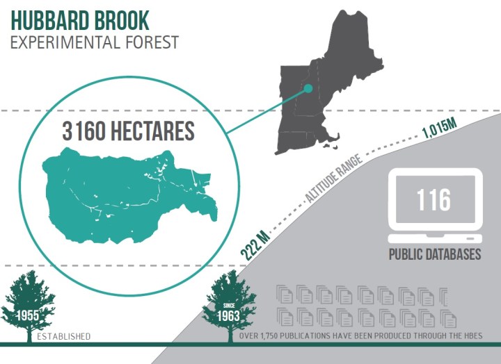 hubbard brook, LTER, research, science, infographic