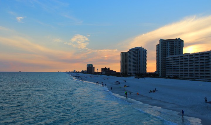 nature, sunet, florida, beach