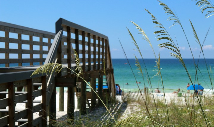 dune walkover, nature, landscape, florida