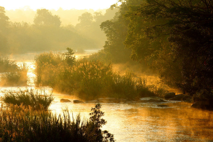 kruger, nature, landscape, africa