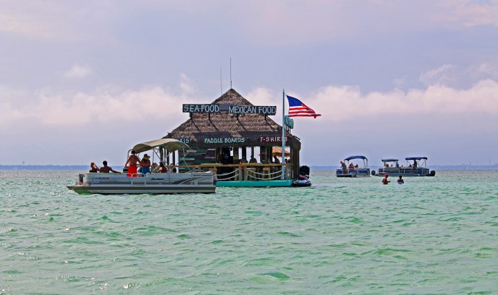 crab island, nature, landscape, florida