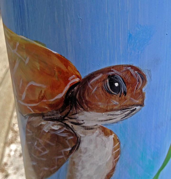 sea turtle, nature, landscape