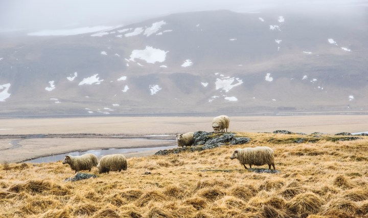 iceland, nature, travel