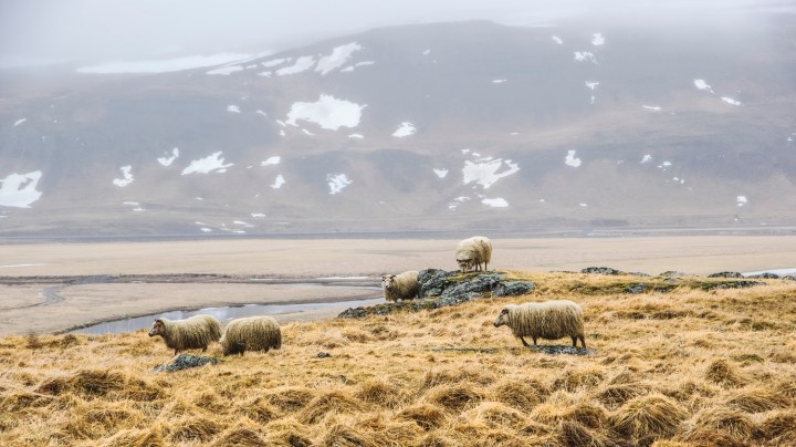 iceland, nature, travel