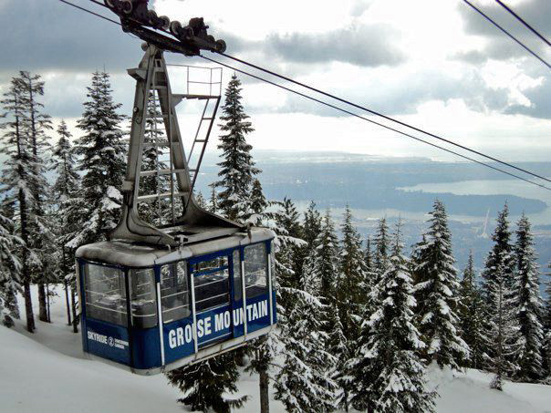 winter, nature, landscape