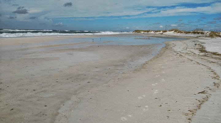 okaloosa island, florida, beach, nature, hermine