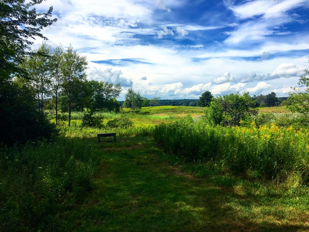 maine audubon, nature, landscape, maine