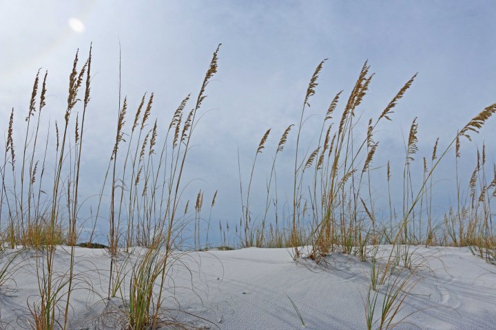 nature, florida, emerald coast