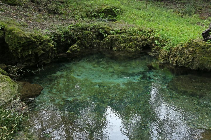 florida, nature, landscape