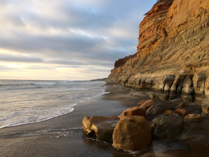 torrey, nature, landscape