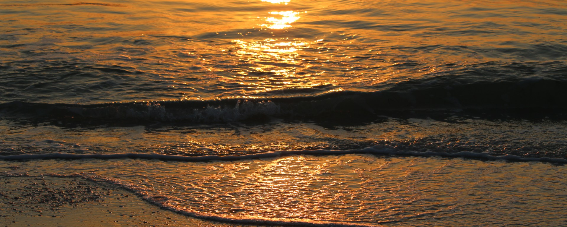 sunset, florida, nature