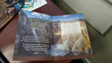 yellowstone-copy