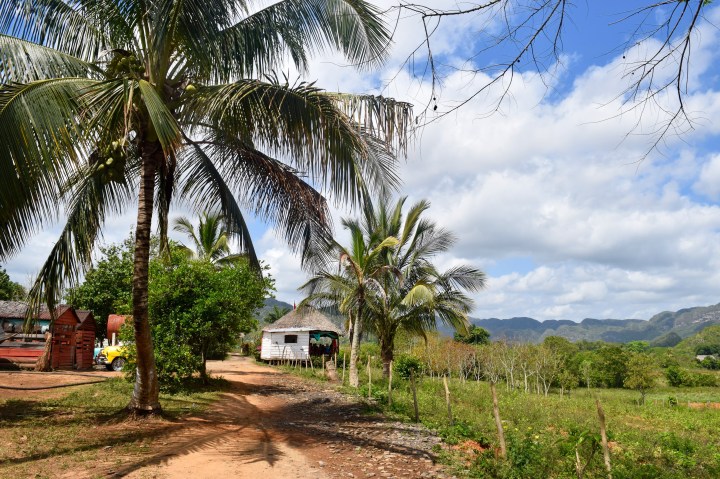 cuba, nature, landscape, travel