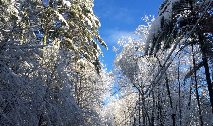 winter, nature, travel, thanksgiving