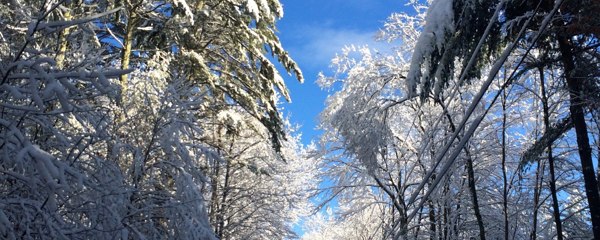 winter, nature, travel, thanksgiving